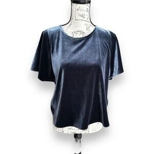 Madewell Blue Velvet Velour Butterfly Cropped Top Pullover Shirt Small K4376